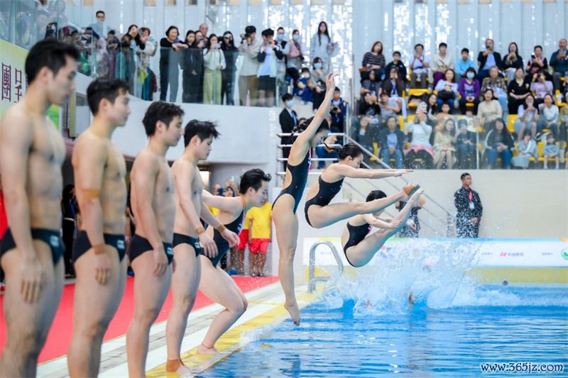 图为“国度跳水梦之队大汇演*活力行2025”精彩扮演。操纵方供图